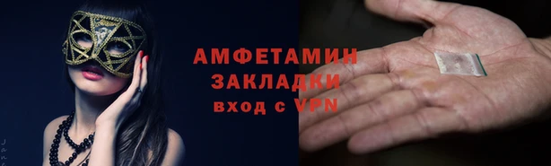 крисы Мегион